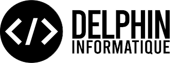 logo Delphin Informatique